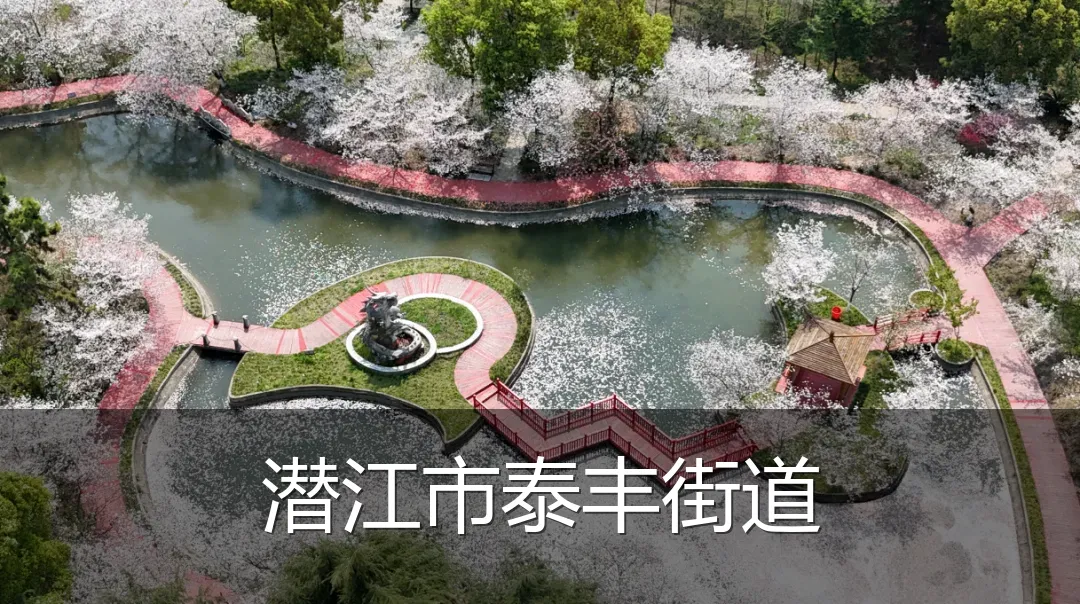 潜江市泰丰街道