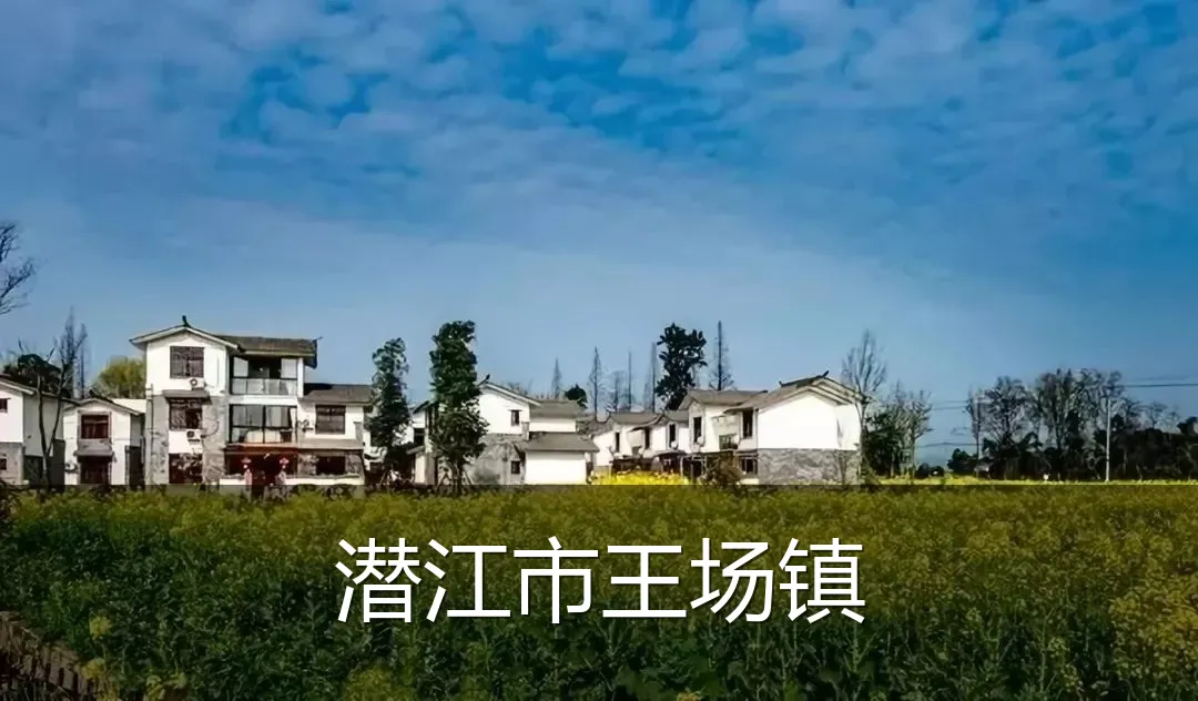潜江市王场镇