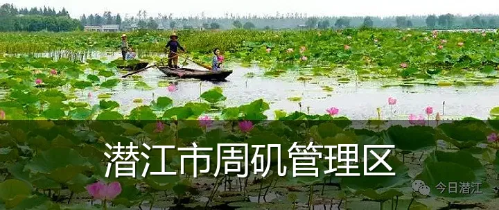 潜江市周矶管理区