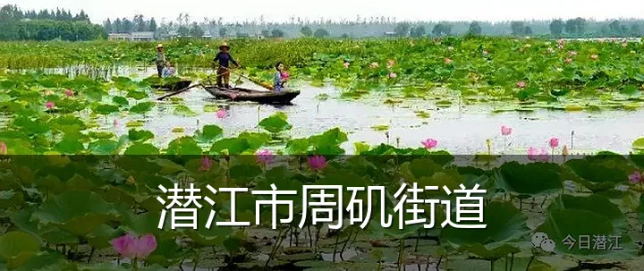 潜江市周矶街道