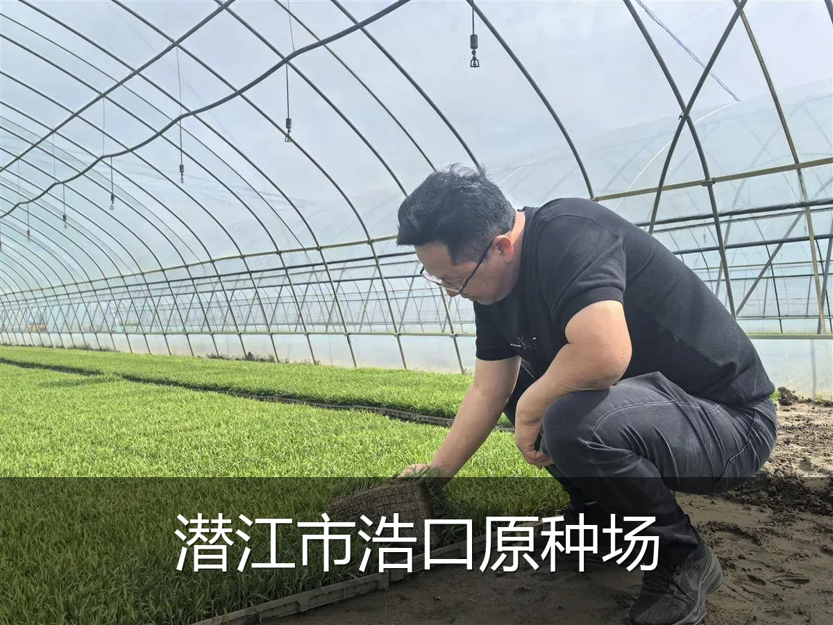 潜江市浩口原种场