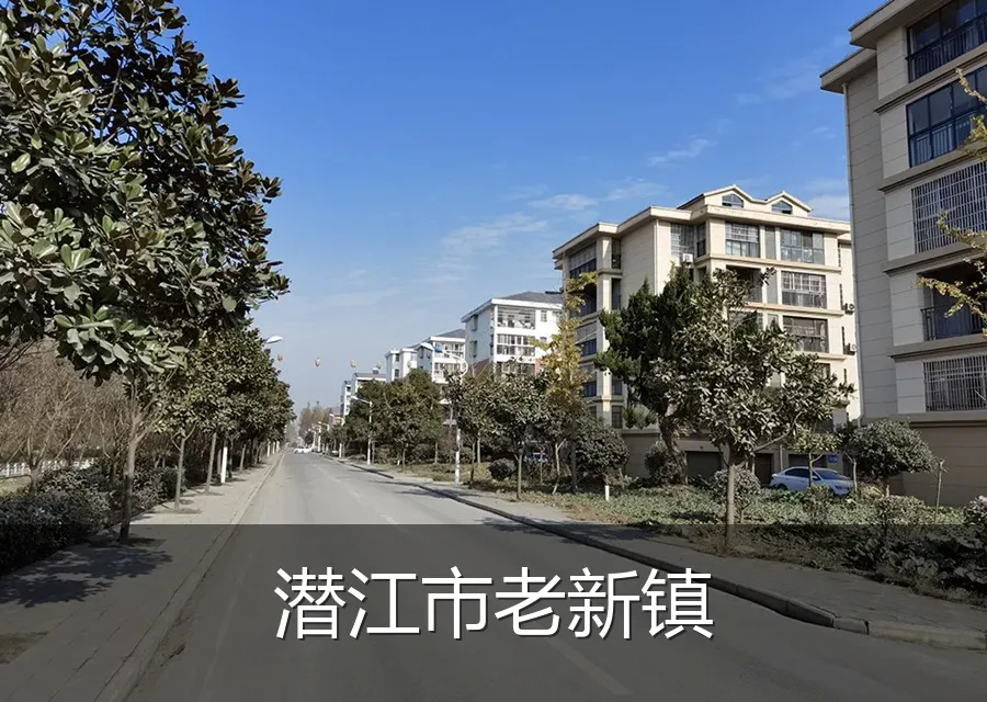 潜江市老新镇